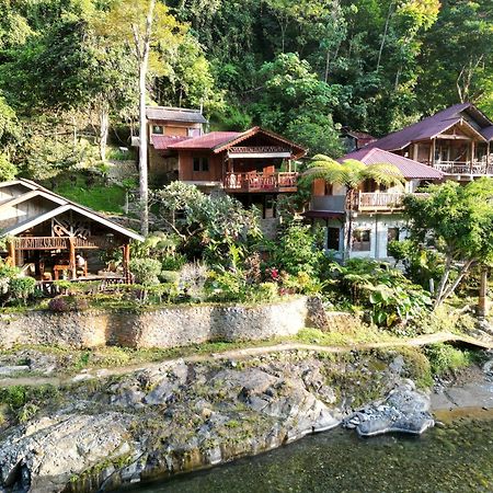 Kupu Kupu Garden Guest House & Cafe Bukit Lawang Eksteriør bilde