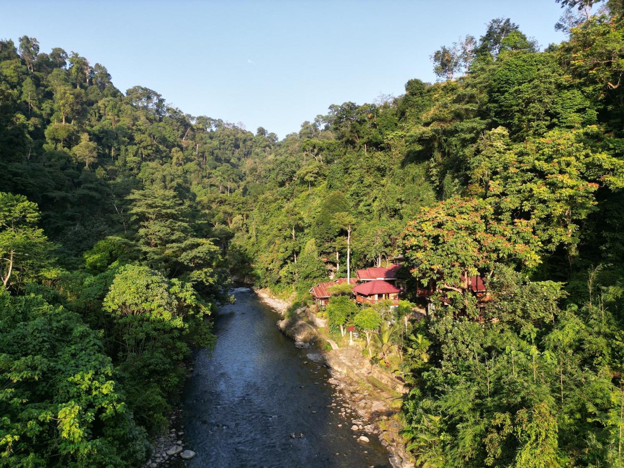 Kupu Kupu Garden Guest House & Cafe Bukit Lawang Eksteriør bilde