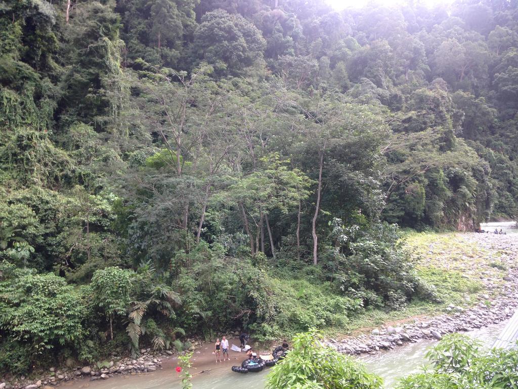 Kupu Kupu Garden Guest House & Cafe Bukit Lawang Eksteriør bilde