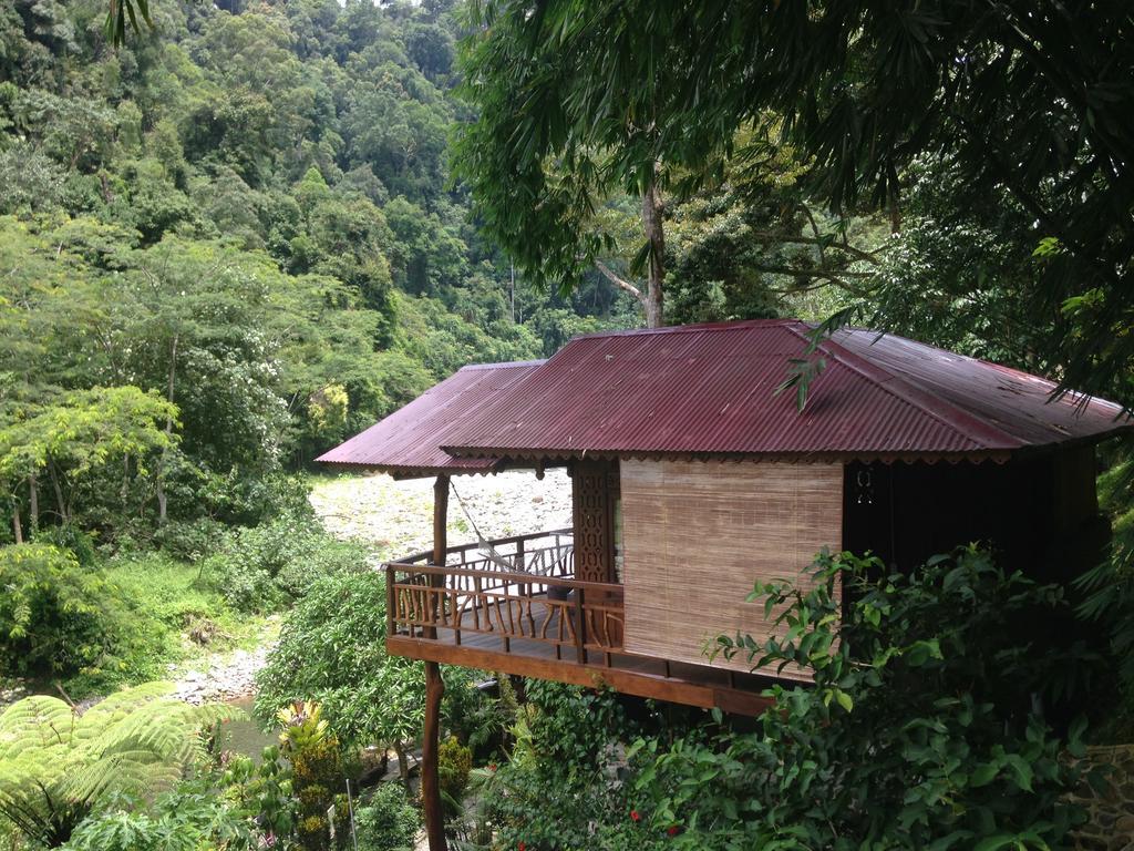 Kupu Kupu Garden Guest House & Cafe Bukit Lawang Eksteriør bilde