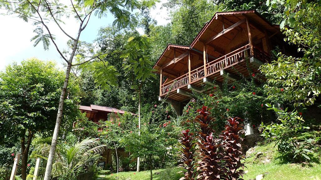 Kupu Kupu Garden Guest House & Cafe Bukit Lawang Eksteriør bilde
