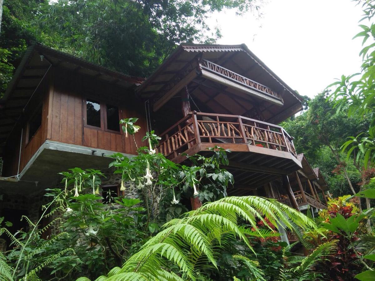 Kupu Kupu Garden Guest House & Cafe Bukit Lawang Eksteriør bilde