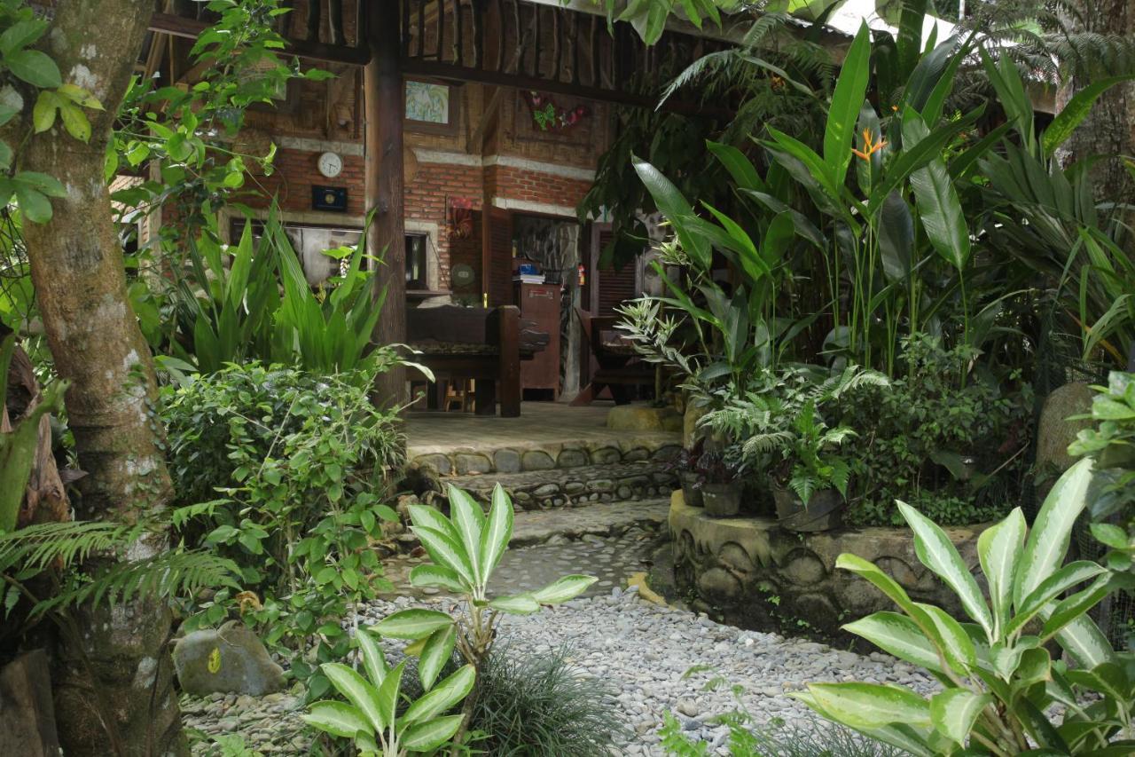 Kupu Kupu Garden Guest House & Cafe Bukit Lawang Eksteriør bilde
